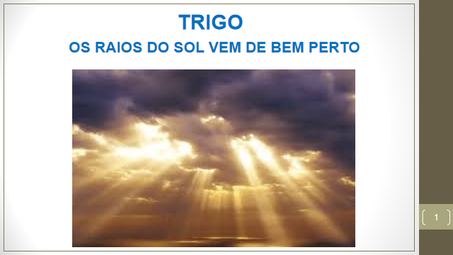 instituto, ayahuasca, erotica, verdade, maome